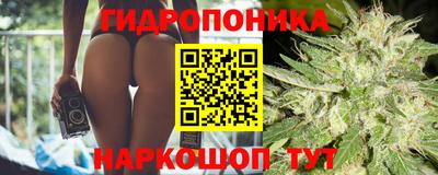 PSILOCYBIN Жуковский